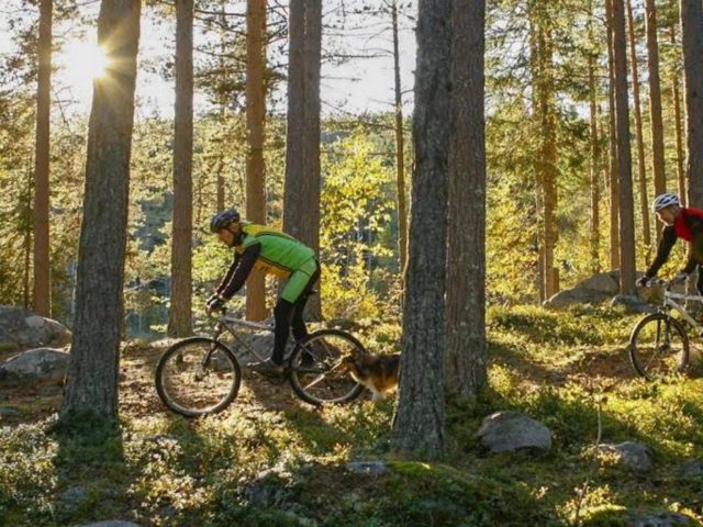 cycling crosscountry in Järvsö