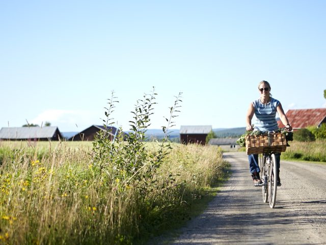 jarvso-gardstramp-sweden-by-bike