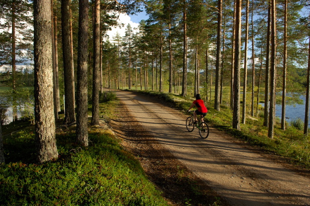 Långbergets sports hotel_cycling holiday