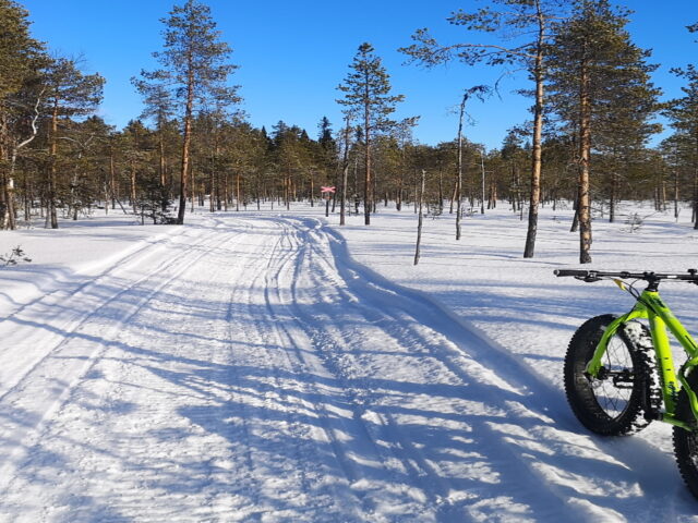 Cycling fatbike in Dorotea Lappland