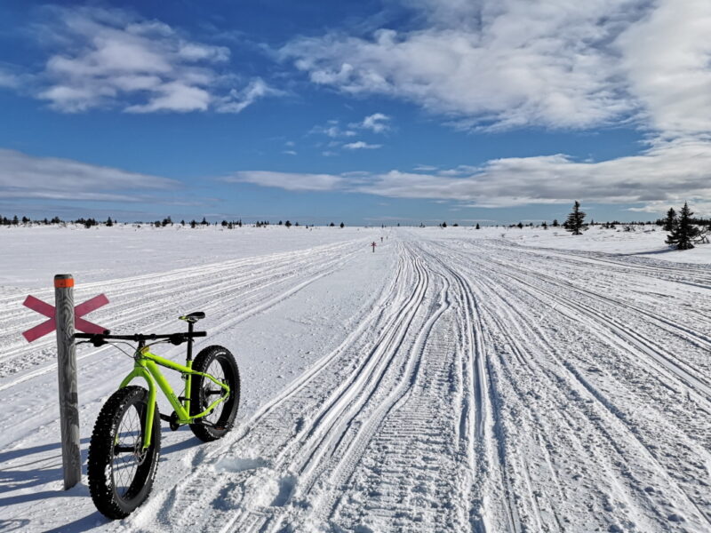 Cykla fatbike på snö i Dorotea_2