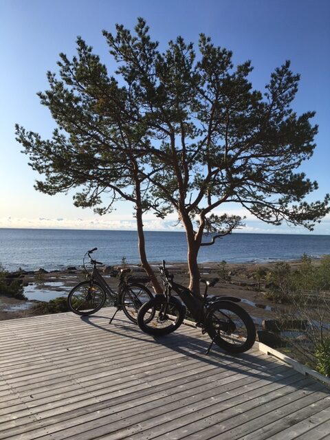 with electric bike in the high coast