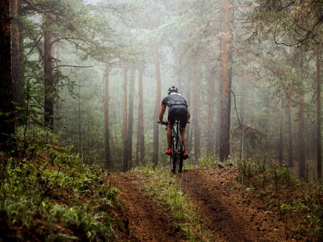 on-gravel-roads-in-john-bauers-magical- forests