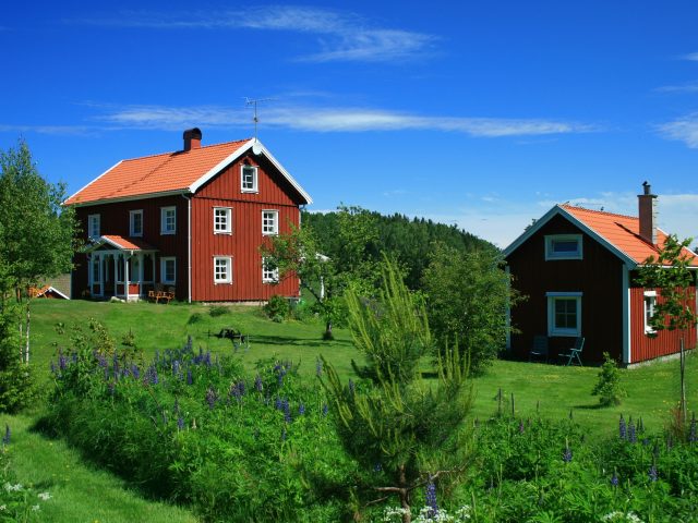 House - summer in Sweden