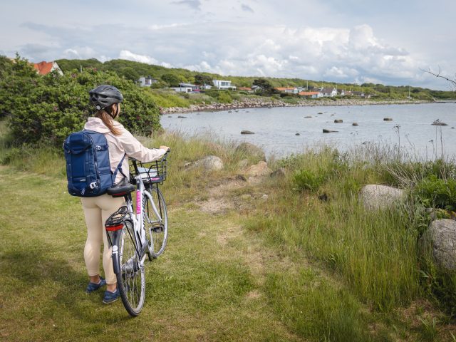 cykeltur-kullahalvön-vingårdar-sweden-by-bike